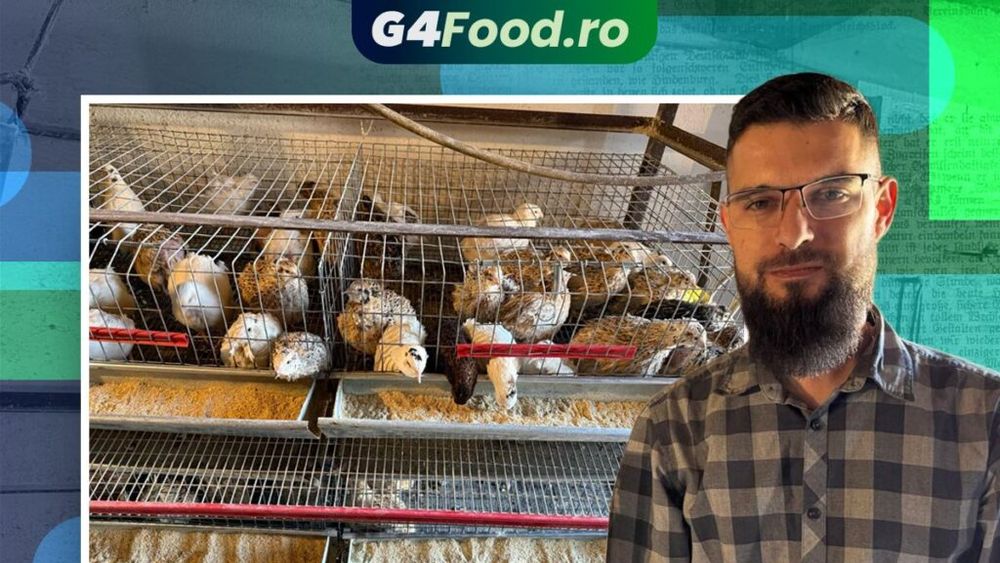 Slujește la biserică duminica, merge la serviciu în timpul săptămânii și crește prepelițe acasă, în familie / Ionuț Boer: „A început ca o afacere de familie și vrem să o dezvoltăm pentru a aduce un beneficiu în familie. Dar asta o putem face doar împreună”