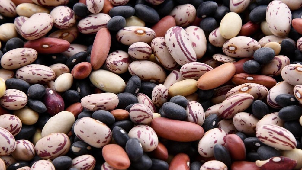 Fasolea de la A la Z. De la un cadou imperial la mâncarea populară de azi