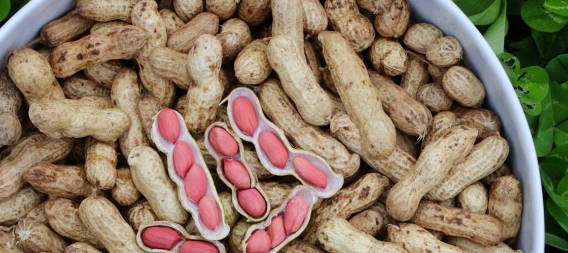 Metro retrage de la vânzare arahidele „Fine Life” (2 kg) / ANSVSA: „Sunt contaminate cu aflatoxine”