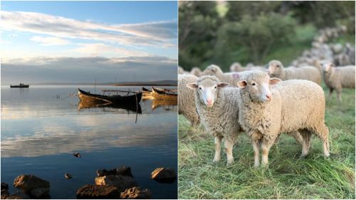 Tulcea: Consiliul Județean construieşte un dig nou pentru protejarea comunei Beştepe - zona amenințată include pe lângă locuințe și exploatări agricole/ Comuna Stejaru va primi sprijin financiar pentru acoperirea cheltuielilor datorate lichidării focarelor de pestă a micilor rumegătoare