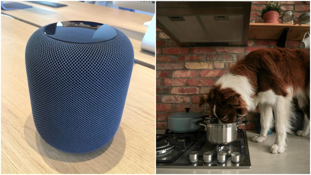 O boxă inteligentă Apple HomePod i-a permis unei familii să stingă incendiul din bucătărie provocat noaptea de câine