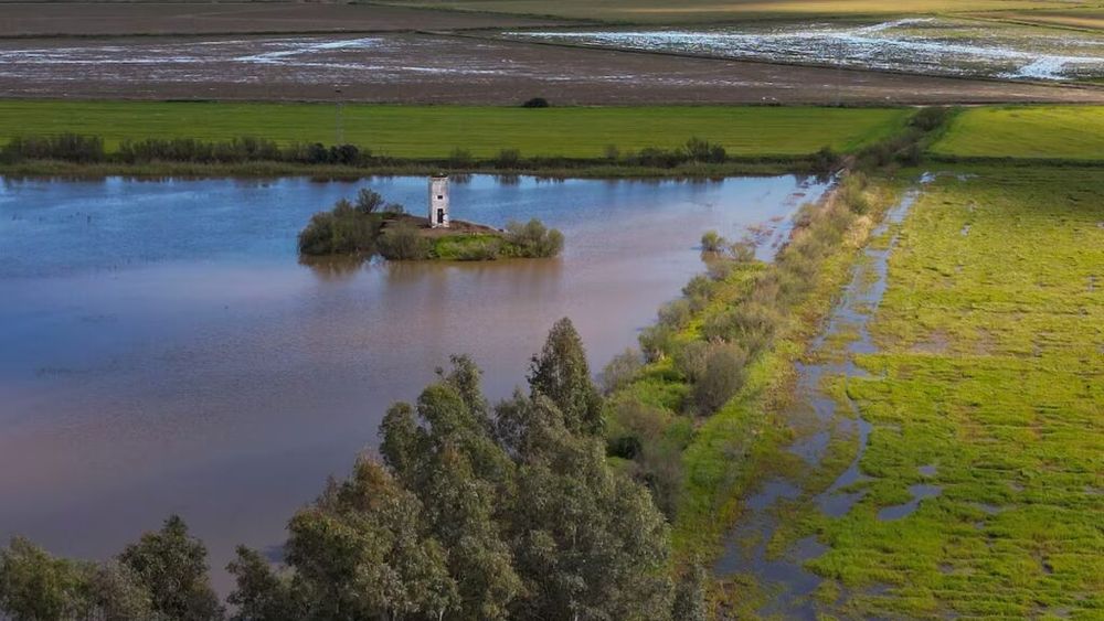 Creșterea nivelului mării amenință 13 milioane de agricultori din întreaga lume/Se prevăd mișcări migratorii în Statele Unite, Japonia, China sau Italia