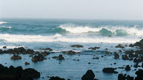 Pescuitul și turismul vor fi interzise în noua arie marină protejata stabilită de Insulele Azore/ Cel mai mare parc marin din Atlanticul de Nord are aproape 300.000 de km pătrați