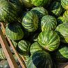 Cum alegi un pepene roșu copt și dulce / Indiciul ascuns pe care îl caută cunoscătorii