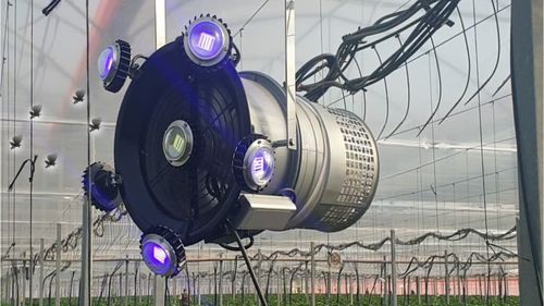 Dispozitiv cu LED-uri puternice, folosit în sere pentru a atrage și distruge dăunători ai tomatelor / Noul model poate fi controlat de la distanță și are sistem antifurt GPS