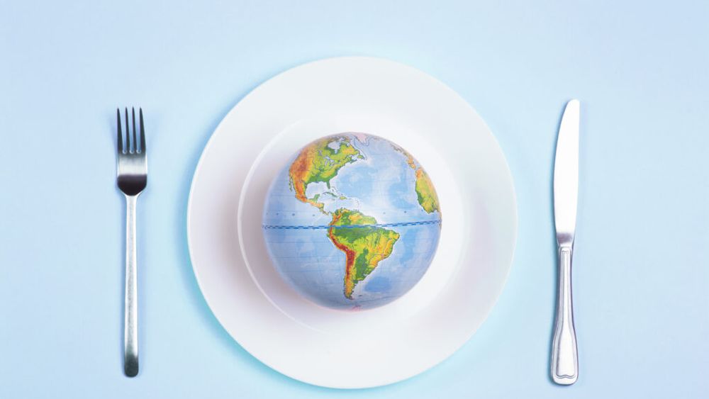 O singură țară din lume își poate asigura complet hrana fără importuri: unde se situează România în topul autosuficienței alimentare