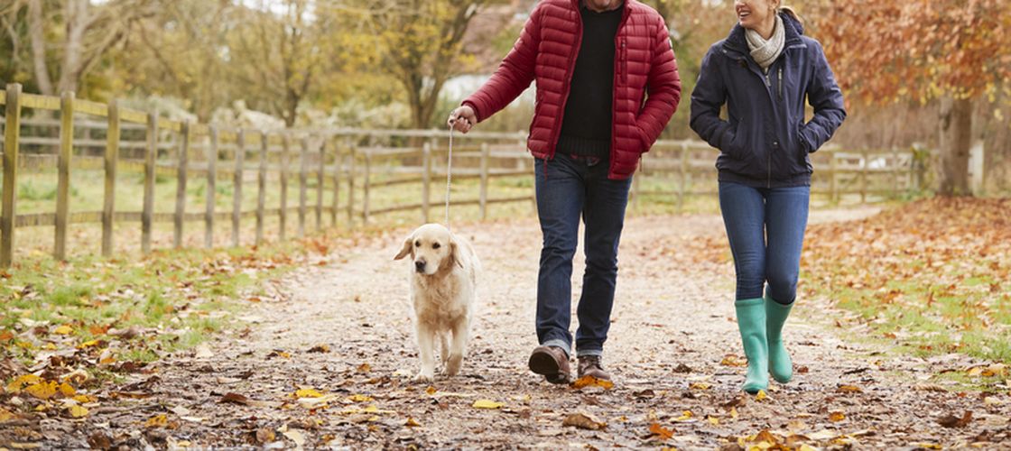 Activitatea simplă de seară care te poate ajuta să ai tranzit dimineața, recomandată de gastroenterologi