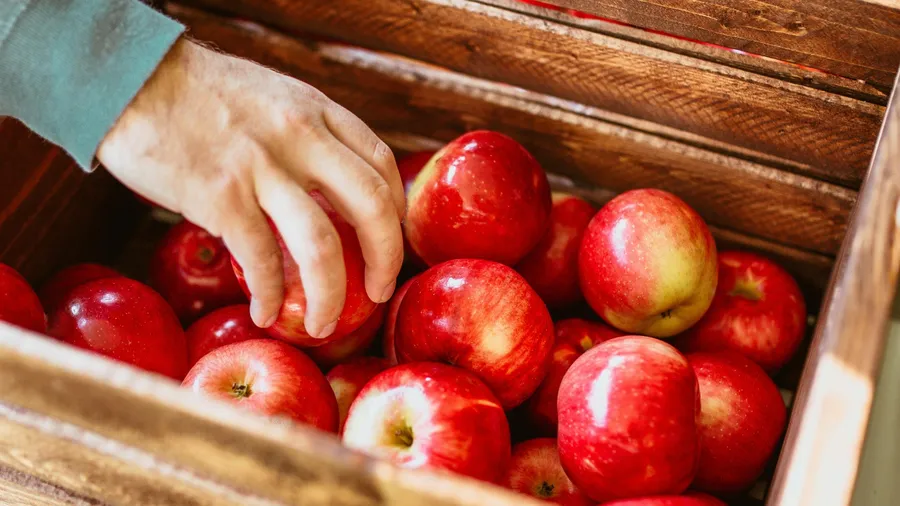 japonia, mere, sortare, ai