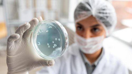DSP Bihor a finalizat ancheta privind focarul de Salmonella dintr-o școală din Oradea / Alimentația a fost exclusă ca sursă a infectării