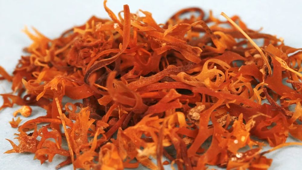 Mușchiul de mare, superalimentul pe care toată lumea îl încearcă pe TikTok. Specialiștii îți spun dacă te ajută cu adevărat să slăbești