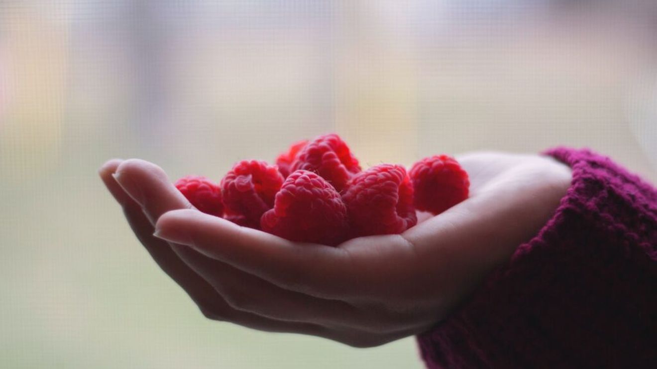 România nu mai are fructe de pădure din cauza climei potrivnice. Fermierii renunță la culturi, după încă un an dezastruos