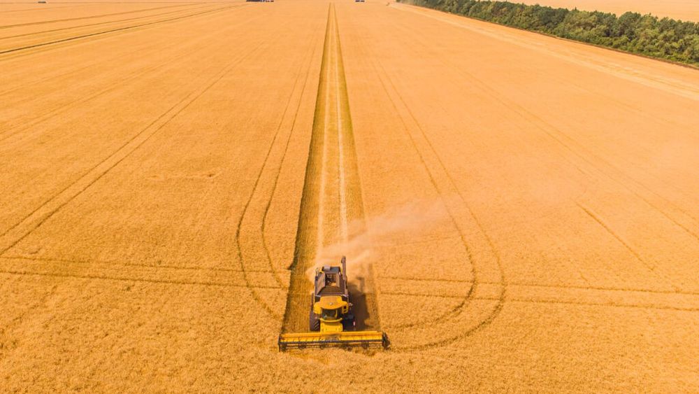 Un gigant agricol cu sute de mii de hectare a fost naționalizat în Rusia, pe fondul presiunilor tot mai mari asupra mediului de afaceri / Proprietarul este în arest
