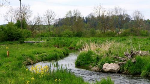 Patronul unei importante firme de panificaţie din Prahova, trimis în judecată pentru infracţiuni la Legea apelor/ Construia ilegal un baraj din beton deviind curgerea naturală a unui pârâu