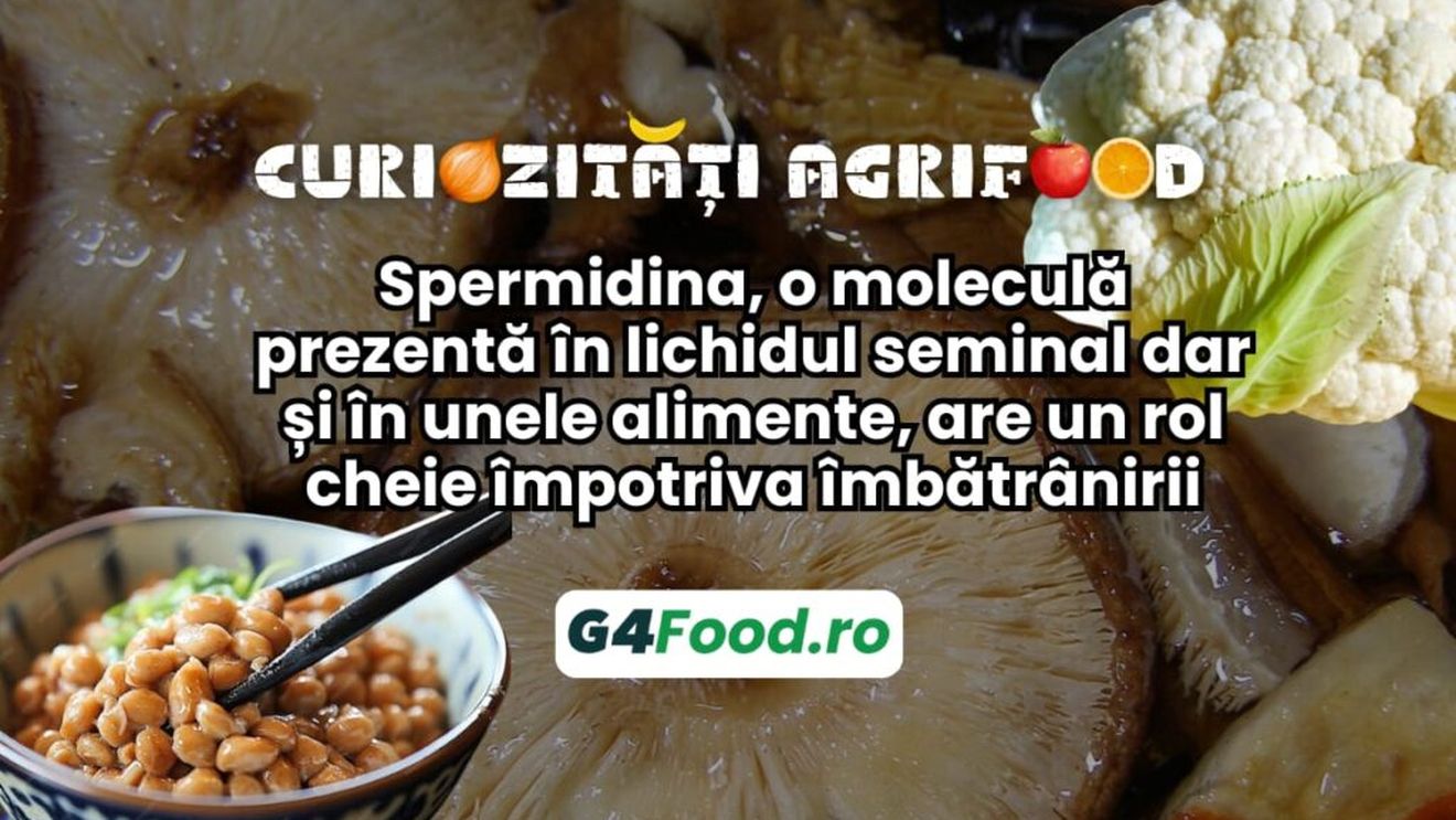 Curiozități agrifood – 26 septembrie: Spermidina, o moleculă prezentă în lichidul seminal dar și în unele alimente, are un rol cheie împotriva îmbătrânirii