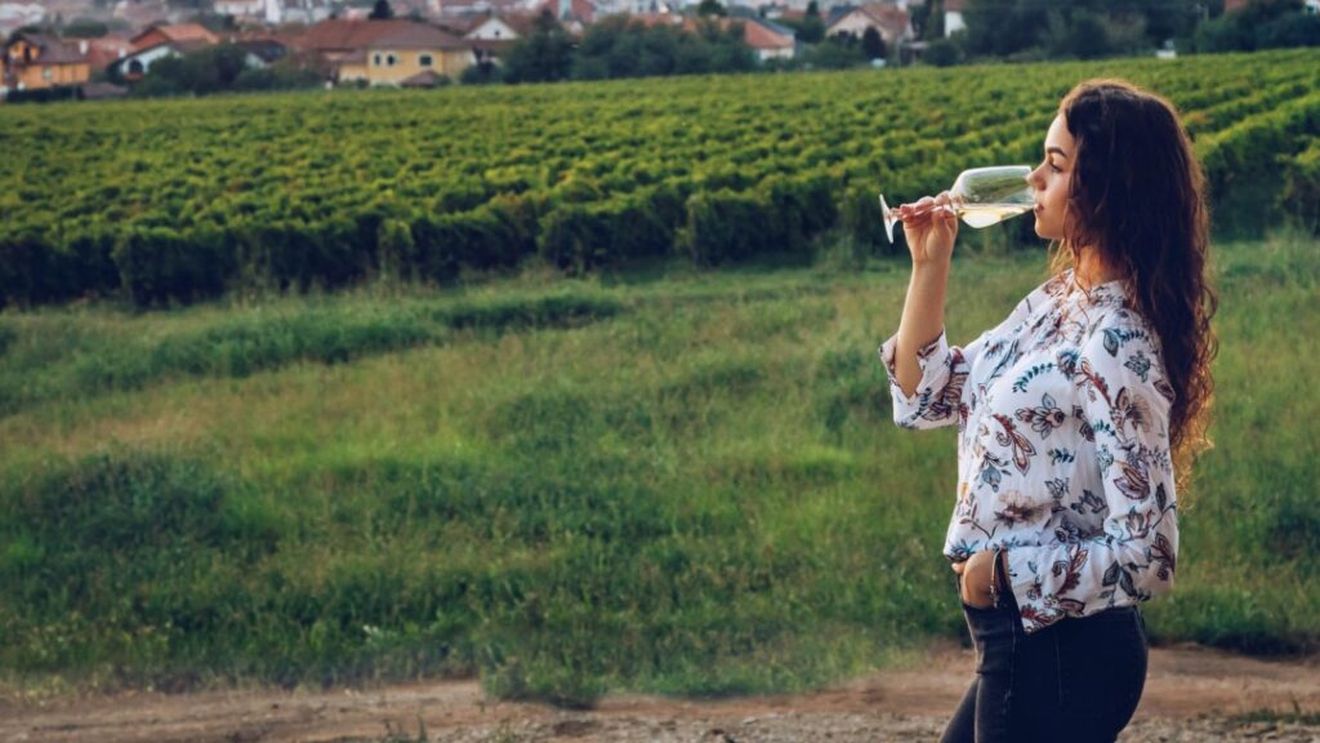 Balul Strugurilor de la Vârșeț, eveniment grandios care anul trecut a atras 200.000 de oameni / Zeci de mii de români trec granița pentru a participa la acest festival al toamnei, loc în care se degustă vin de calitate, se mânâncă bine și mai ieftin