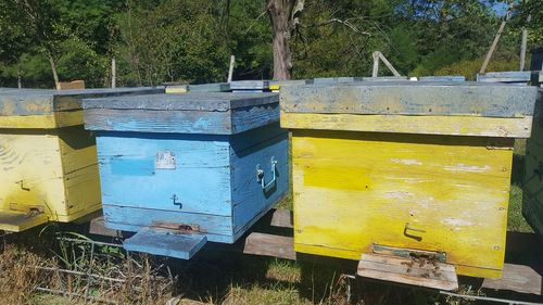 APIA primeşte Cereri de plată pentru intervenţiile aferente sectorului apicol 2025