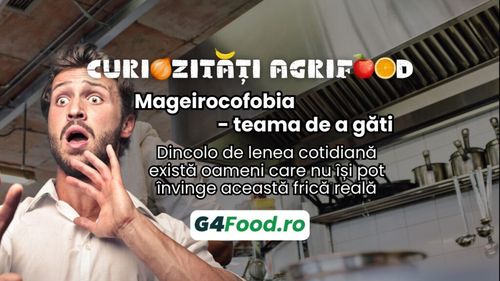 Curiozități agrifood - 9 septembrie: Mageirocofobia - teama de a găti / Dincolo de lenea cotidiană, există oameni care nu își pot învinge această frică reală
