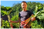 FOTO | Cum a ajuns un sociolog să cultive rubarbă într-un sat din Transilvania / Mircea Muntean: „Nu recomand nimănui să înceapă doar pentru bani”. „Am făcut și vin, și bere, și chipsuri din rubarbă” / De ce nu poate fi cultivată oriunde