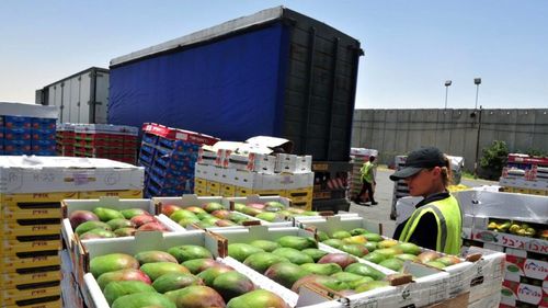 Dacă România nu are capacitatea tehnică de a controla produsele agroalimentare extra UE, cum stau alte țări europene la acest capitol? Italienii spun că 97% din mărfurile care intră rămân necontrolate