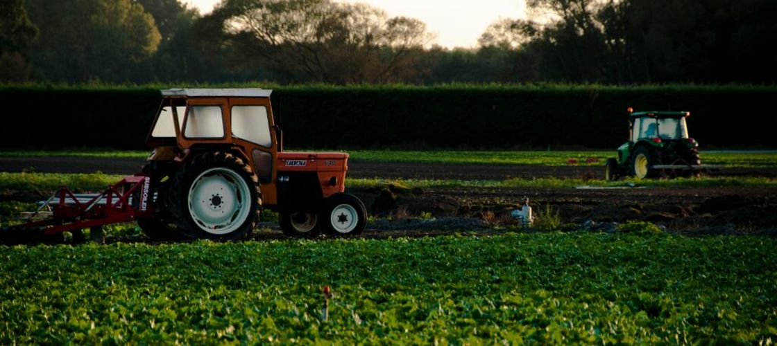 Agricultura ecologică prinde teren în Brăila: peste 12.300 de hectare sunt exploatate în sistem bio