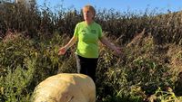 FOTO-VIDEO | Au adus câteva semințe din Spania și au ajuns să crească dovleci de 200 de kilograme / Soții Mureșan cultivă dovleci care nu pot fi ridicați de patru oameni și vor să vândă semințele online