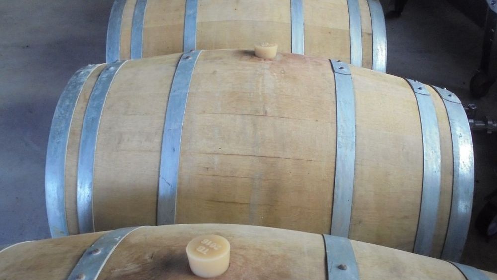 Uniunea Europeană, inclusiv România, piețe de desfacere pentru vinurile, cerealele și zahărul din Republica Moldova; ce vindem peste Prut