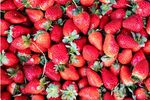 Raport PAN Europe: Căpșunile din UE conțin frecvent reziduuri de pesticide PFAS și substanțe cu efect de perturbare endocrină / Critici la adresa modificării legislației europene