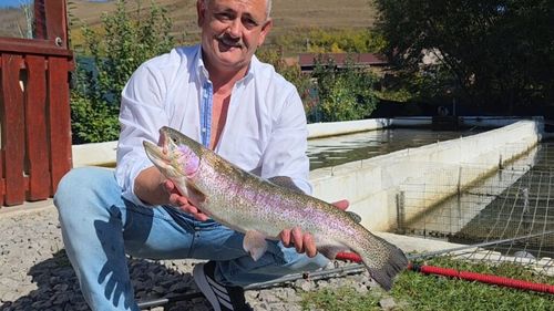 Pasiunea pentru pescuit, transformată într-o afacere de familie la Dârlos / Ovidiu Farcaș crește pește, coace pâine și gătește pentru turiști chiar lângă lac