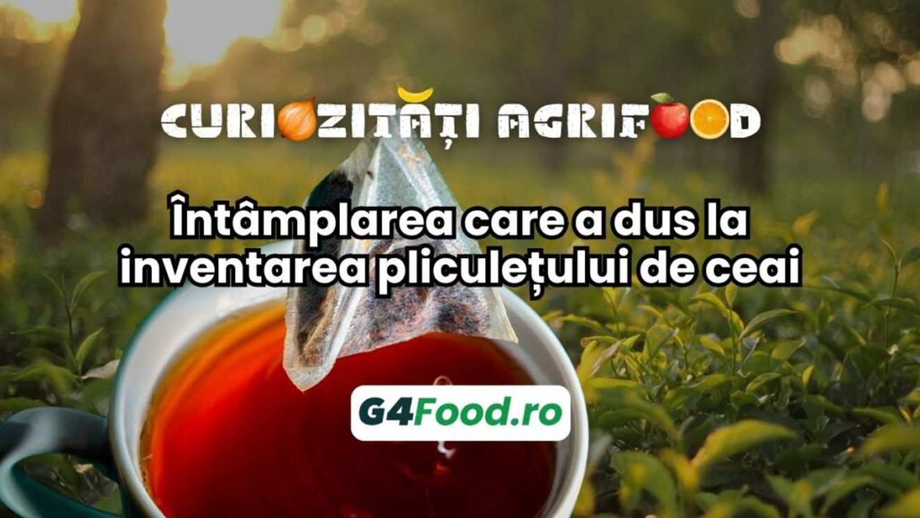 Curiozități agrifood – 06 noiembrie:  Întâmplarea care a dus la inventarea pliculețului de ceai
