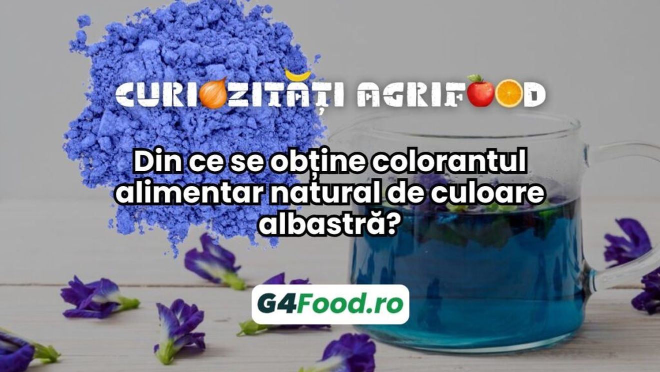 Curiozități agrifood - 30 octombrie: Din ce se obține colorantul alimentar natural de culoare albastră?