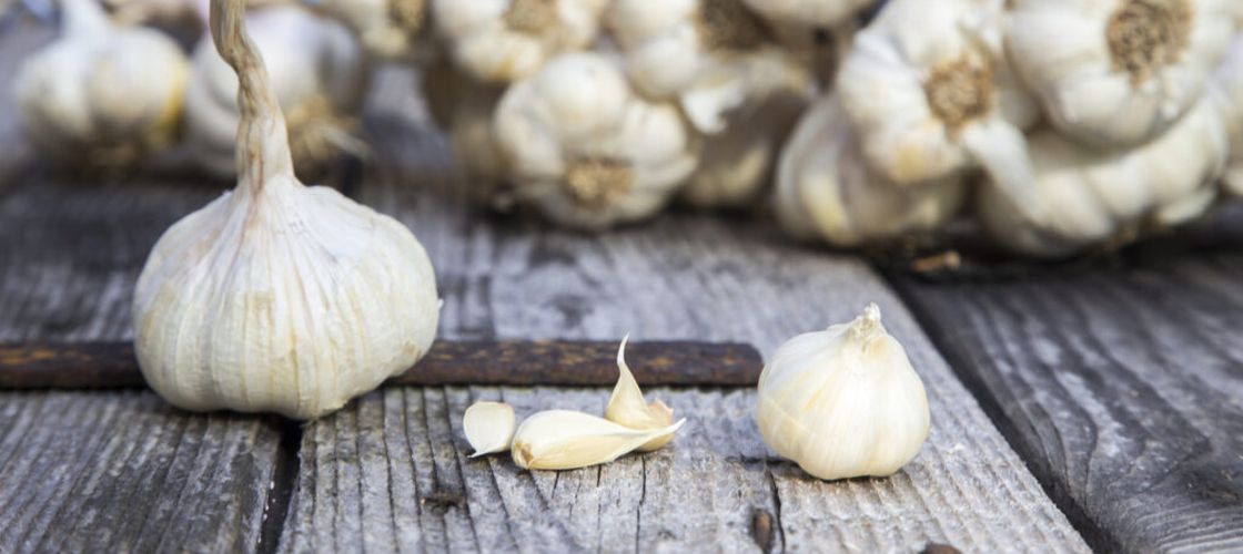 Mănânci usturoi în fiecare zi? Ce efecte are asupra organismului / Ce cantitate ar trebui să consumi