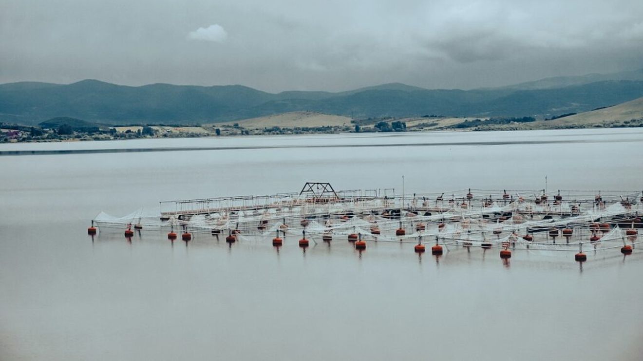 Subvenții și achiziții publice în valoare de 600.000 € în atenția Parchetului European/ Sunt acuzate două persoane din Cehia, care au solicitat fonduri europene destinate dezvoltării acvaculturii