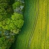 Ministerul Agriculturii deschide două linii de finanțare pentru ferme mici, floricultură și plante medicinale. Buget total de 113 milioane de euro