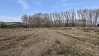 Oficial al Băncii Centrale Europene: Criza climatică și degradarea naturii amenință stabilitatea financiară a Europei