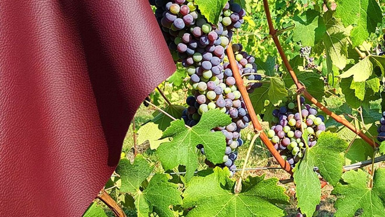 Din resturile de la producția de vin, Stella McCartney și Veuve Clicquot au realizat un material din fibre vegetale asemănător cu pielea