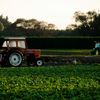 Agricultura ecologică prinde teren în Brăila: peste 12.300 de hectare sunt exploatate în sistem bio