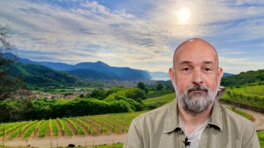 VIDEO | Connaisseur fără ifose (Ep. 31): Vinul românesc, într-o fundătură a imaginației?