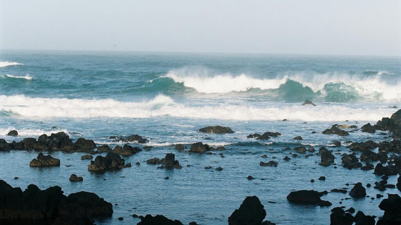 Pescuitul și turismul vor fi interzise în noua arie marină protejata stabilită de Insulele Azore/ Cel mai mare parc marin din Atlanticul de Nord are aproape 300.000 de km pătrați