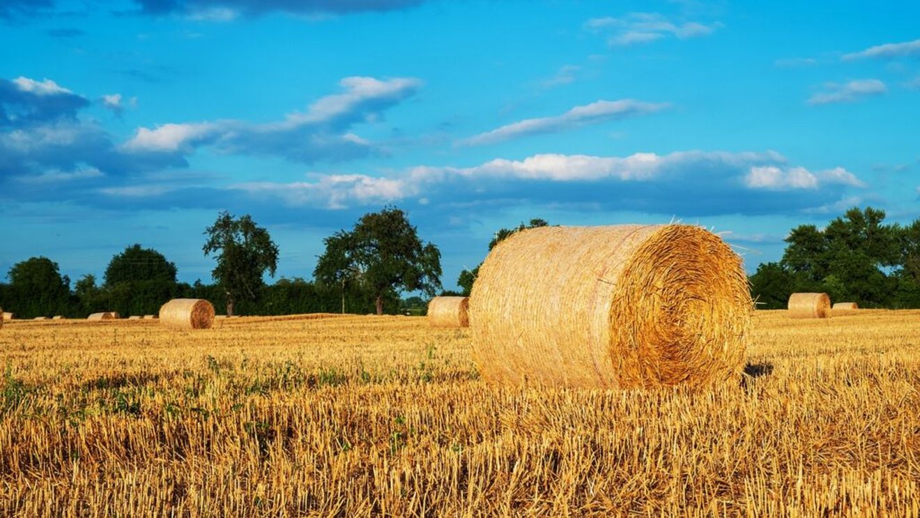 Opt sute de baloţi de ovăz şi lucernă, un grajd şi trei anexe au ars în două gospodării din Mihăileşti - Giurgiu