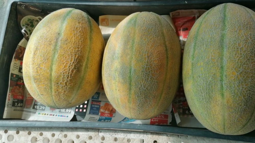 FRUCTE CU SALMONELLA: peste o sută de persoane infectate în Statele Unite, după ce au consumat pepene galben importat din Mexic; cazul a ajuns în instanță