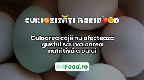 Curiozitate agri-food: Culoarea cojii nu afectează gustul sau valoarea nutritivă a oului