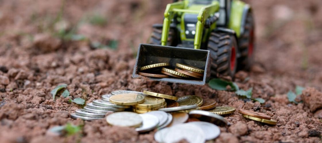 Salariul minim în agricultură și industria alimentară crește de la 1 iulie