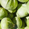 Cum să prepari varza ca să fie mai ușor de digerat și să provoace mai puțină balonare / De ce varza fermentată este mai blândă pentru stomac decât cea crudă