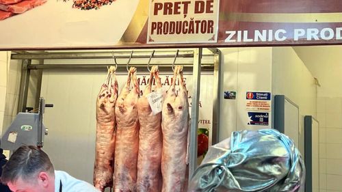 Carnea de miel în Sfântul Gheorghe va putea fi găsită începând cu 1 aprilie pentru Paștele catolic / Prețurile oscilează între 50 și 70 de lei per kilogram