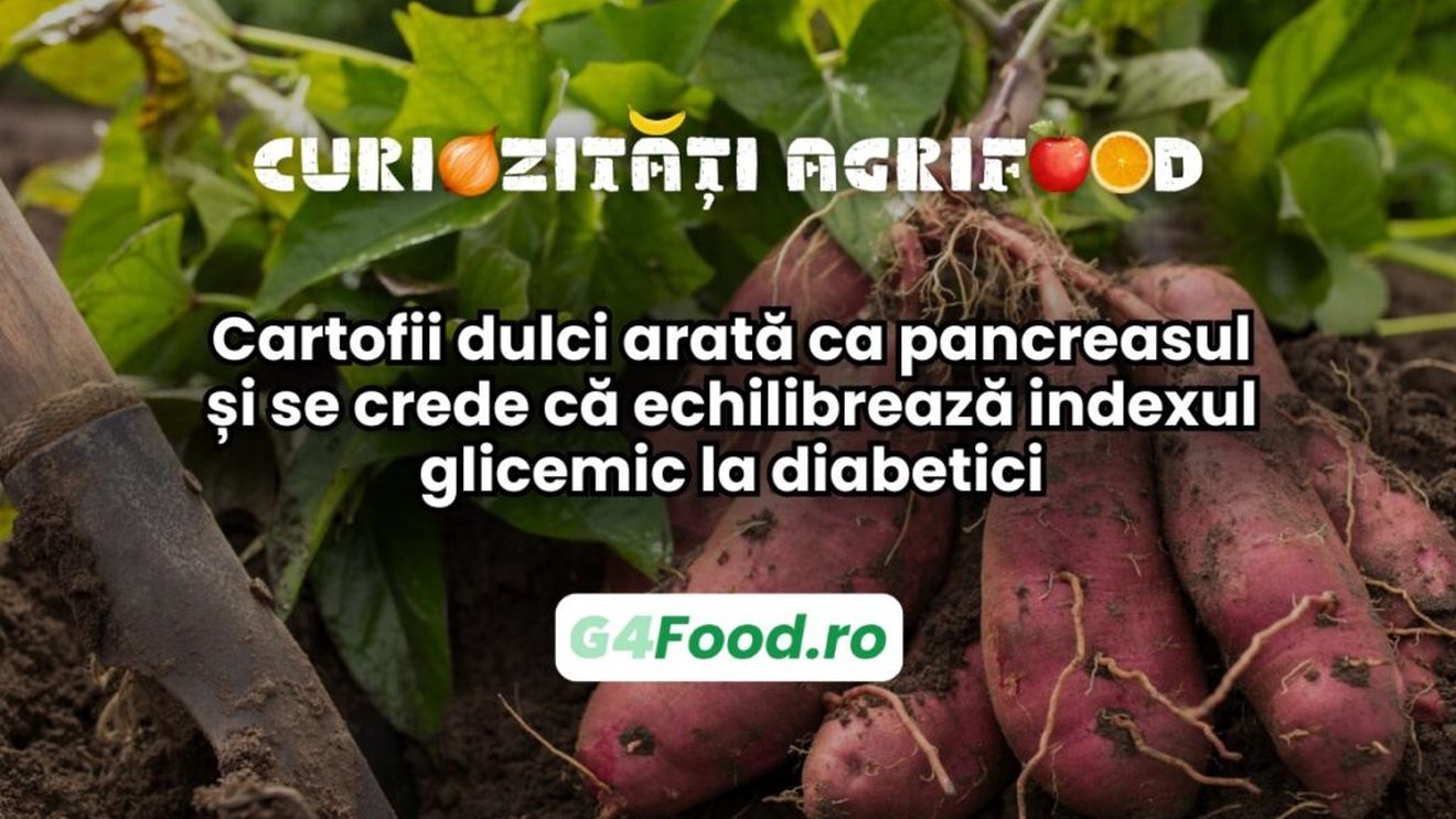 Curiozitate agri-food 24 martie: Cartofii dulci arată ca pancreasul și chiar se crede că echilibrează indexul glicemic la diabetici