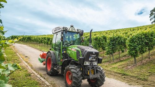 Organizaţia Naţională Interprofesională Vitivinicolă solicită o întâlnire cu ministrul Agriculturii: „Căutăm soluţii tehnice care să protejeze plantaţiile viticole împotriva grindinei şi a îngheţurilor târzii de primăvară”