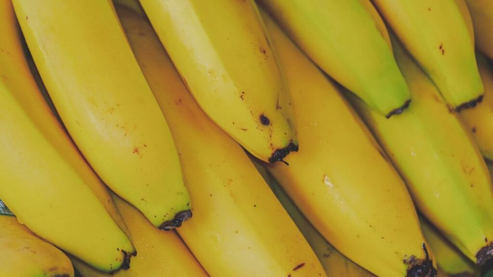 Exporturile de banane din Ecuador au crescut cu 1,42% în 2024, în ciuda factorilor perturbatori: seceta, problemele cu energia și conflictele din Marea Roșie