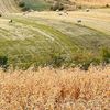 Ministerul Agriculturii propune dublarea fondurilor pentru fermierii afectați de scumpirea îngrășămintelor. Sprijin de până la 527,50 lei/ha