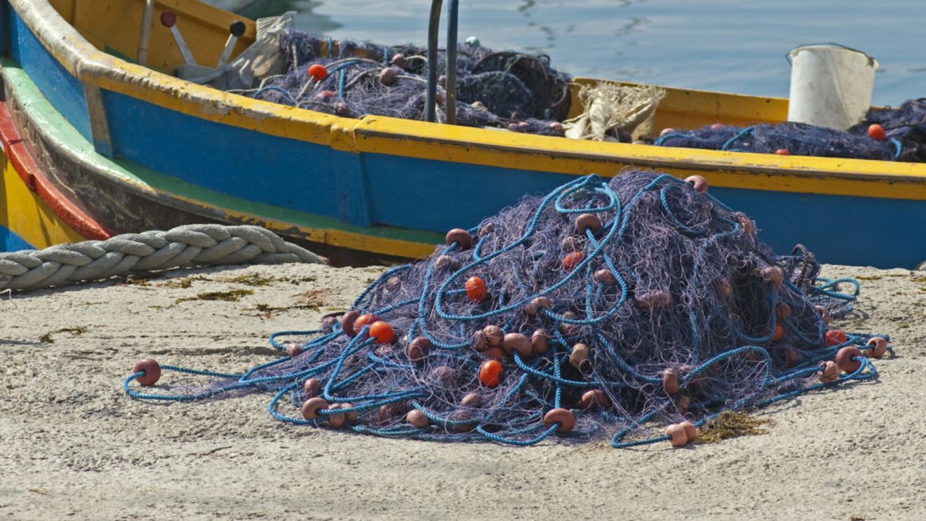 Plasele pescarilor, pericol pentru viața marină / O balenă blocată din cauza unei frânghii de pescuit, eliberată în largul insulei scoţiene Skye
