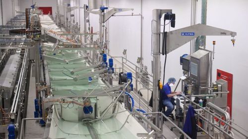 Belgia produce tot mai multă mozzarella, care a depășit în volum branza traditională gouda. Mai nou, face concurență Italiei, care a inventat-o, dar cel mai mare producător european rămâne Germania